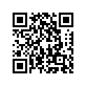 920751313 