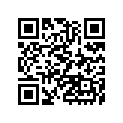 920751317 