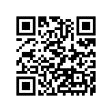 920751325 