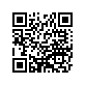 920751337 