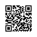 920751338 