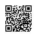 92081-1116 スプリング