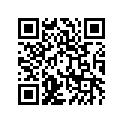 920811135 
