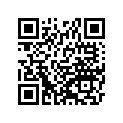 920811144 