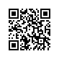 920811274 