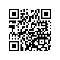 920811365 