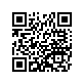 920811381 