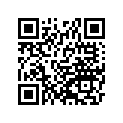 920811399 