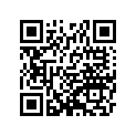 920811941 