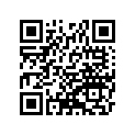 921431804 