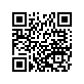 921441636 