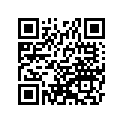 921511061 