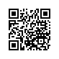921511154 Bolt