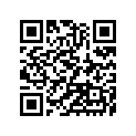 921511385 