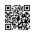 921512139 Bolt