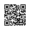921513776 Bolt