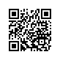 921513779 Bolt
