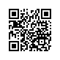 921530553 Bolt
