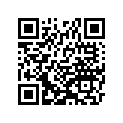 921541243 Bolt, Top