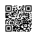 921541639 Bolt