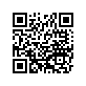 921711335 