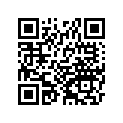 92180-1009 シム，T=2.25