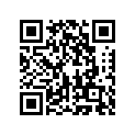 92180-1165 SHIM,PAD