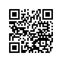 922003731 Washer, 20x28x2.0