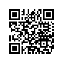 9243710 MIRRORASY,RHBLACK