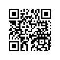 92905-06600-00 Шайба