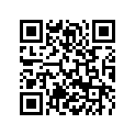 93004051000 Supporting shell
