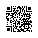 93012041000 Mirror right