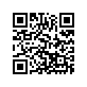 93015017000 Y connection