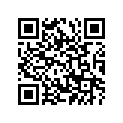 93210-98M33-00 O-RING