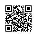 93211-62M24-00 O-RING