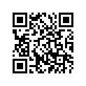 93306-20404-00 Подшипник