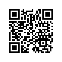 93891-04012-17 Шайба
