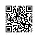93891-050-280-0 Шайба