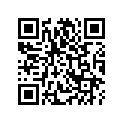 93891-050-300-0 Шайба
