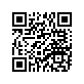 941-10108-19-00 Tire