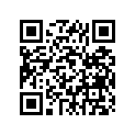 941-10108-20-00 Tire