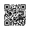 941-13138-03-00 Tire (130/70-13 M/c 57P)