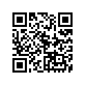 941-13138-05-00 Tire (Irc, 130/70-13 M/c 57P)
