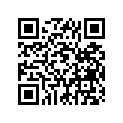 941-16170-12-00 Tire