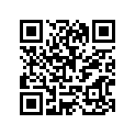 94106-12012-00 Tire (60/100-12 36J D311)
