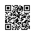 94107-10024-00 Покрышка Пневматическая