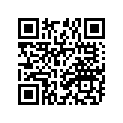 94108-217X8-00 80/100-21 BS ED11