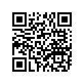 94109-16011-00 TIRE
