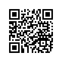 94110-09008-00 Покрышка Пневматическая