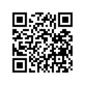 94110-09009-00 Покрышка Пневматическая